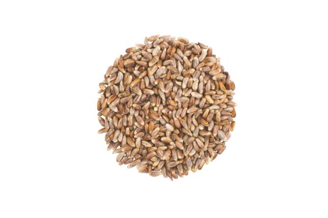 NutraSaffBirdSeed