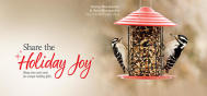 PROMO Give the Gift of Joy 2312P