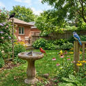 BirdBathInYard